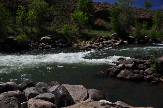 the Animas River, Durango